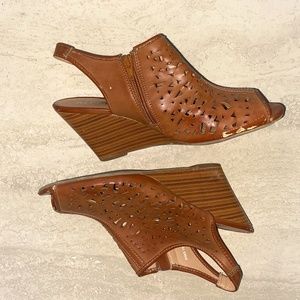 Report Stellar Wedges